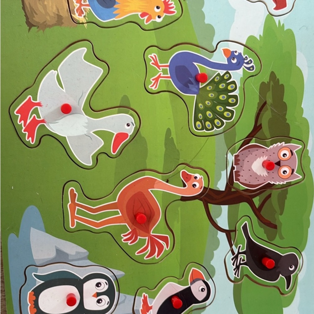 Animal Adventure Wooden Puzzle